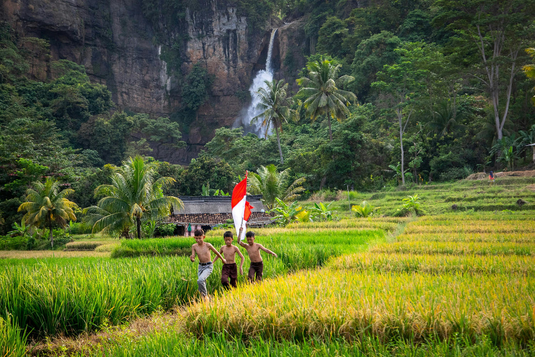 Powering Agriculture: How BESS Can Benefit Farms in Southeast Asia